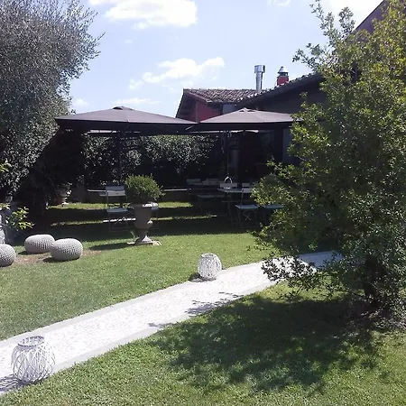 Teodorico Re Viterbo