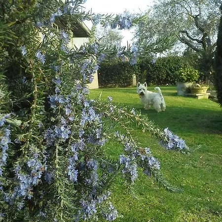 Teodorico Re Alojamento de Acomodação e Pequeno-almoço *