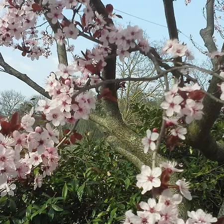 Teodorico Re Alojamento de Acomodação e Pequeno-almoço Viterbo