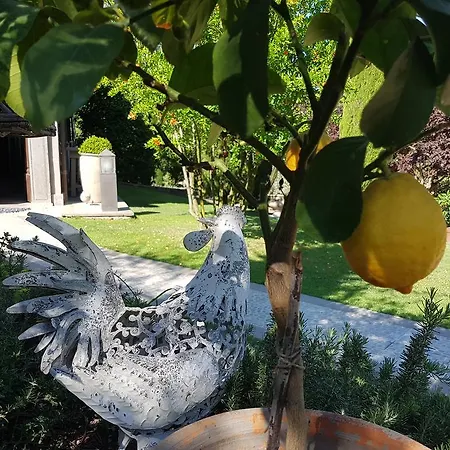 Alojamento de Acomodação e Pequeno-almoço Teodorico Re